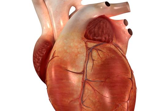 Understanding Children’s Heart Surgery Outcomes - Read more