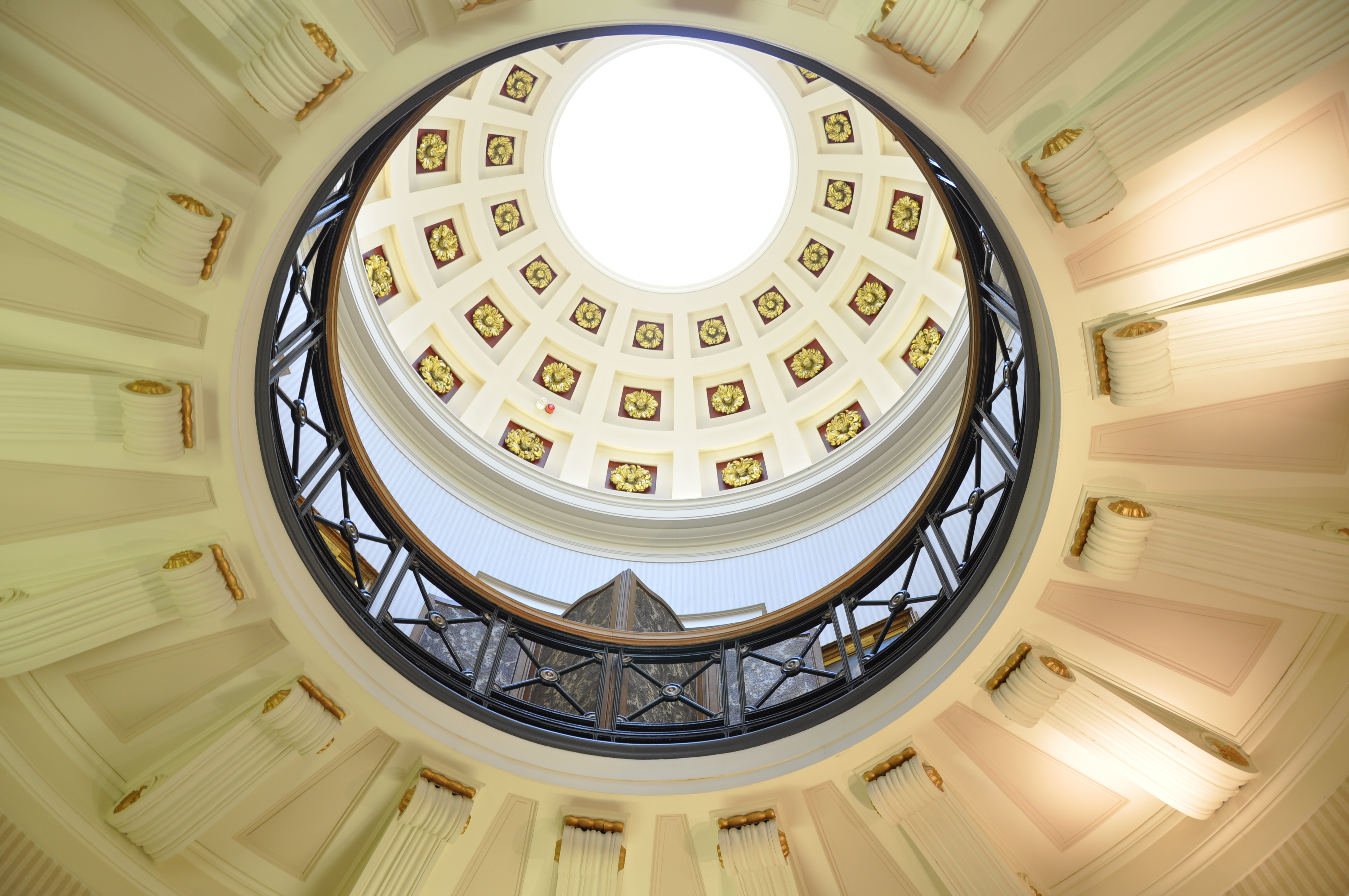 RCSEd Dome Ceiling
