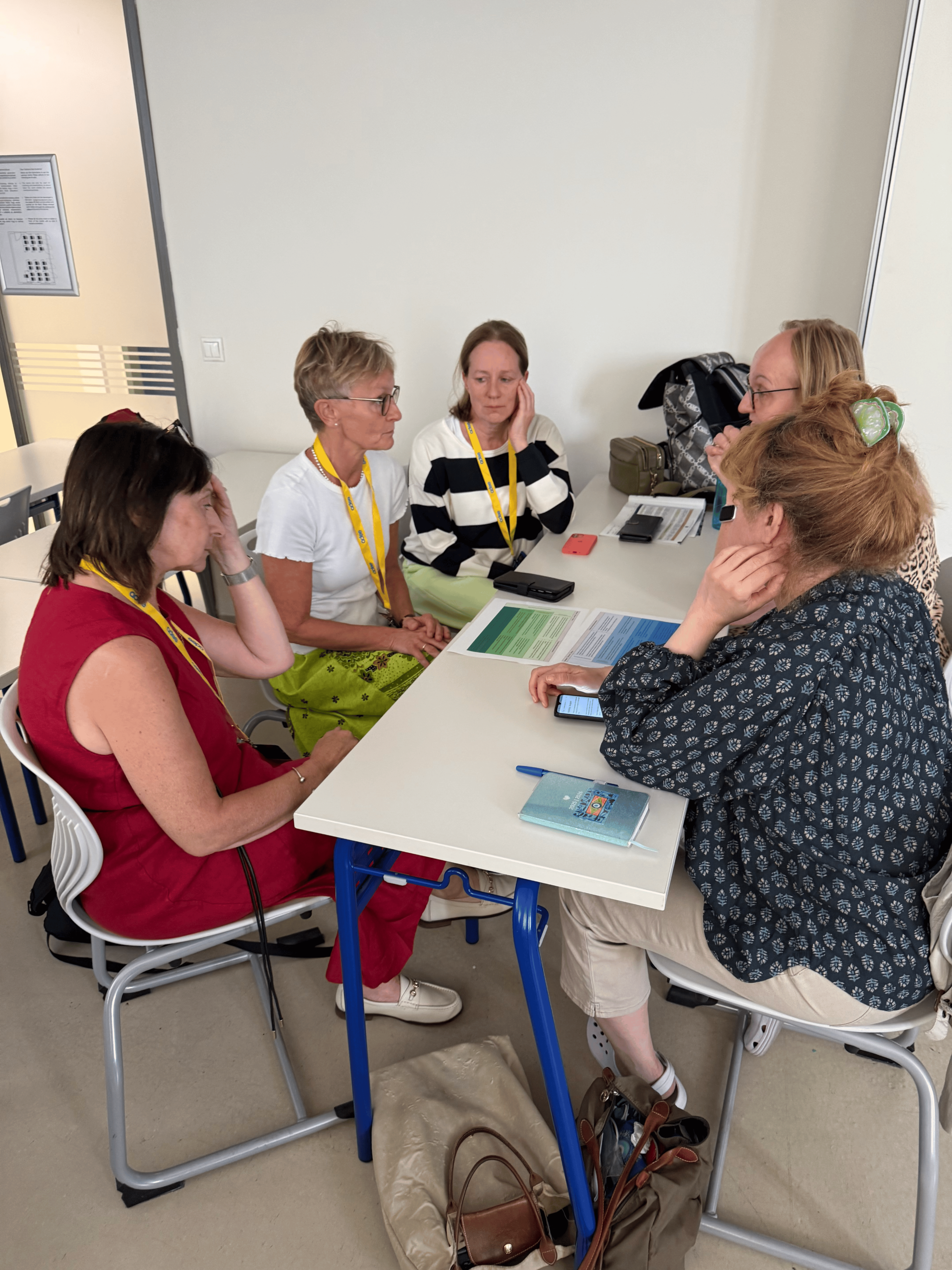 Delegates Sense Check DeNTS Framework