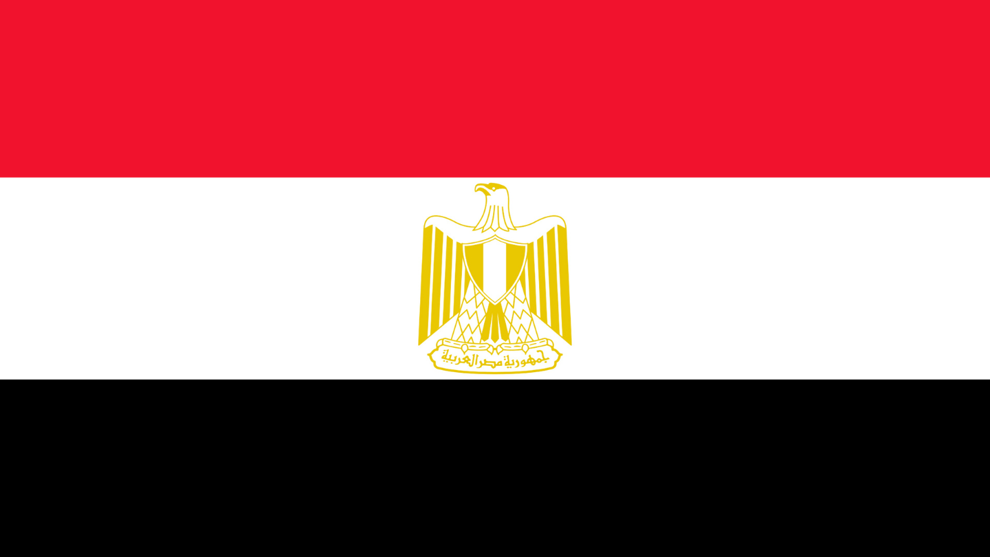 The Royal College of Surgeons of Edinburgh - Egypt Newsletter